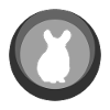 Rongeur Chinchilla Rongeur