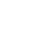 Croquis de chat