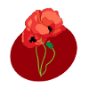 Coquelicots dans un cercle
