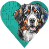 Bernese Mountain Dog Portrait