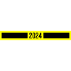 2024 year