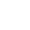 Icône de l’année 2024