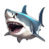 Shark / Wildlife / Underwater / Sea / Ocean