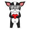 Dog with heart and glasses