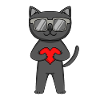 Katze mit Herz und Brille - Bombay-Katze
