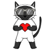 Katze mit Herz und Brille - Siamkatze