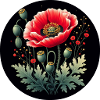 Motif floral coquelicot fond noir