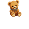 Teddy | You are my Teddy