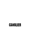 Cavalier - Frôler la perfection