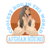 Afghanischer Windhund Hund Hundebesitzer Geschenk