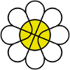 Basketball Daisy Flower