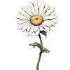 Daisy - Il m’aime !