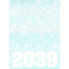 2039
