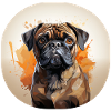 Mops Porträt