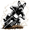 French Bulldog Rides Motocross