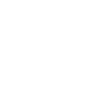 Citation de Success Loves Speed