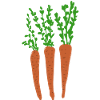 Carrots