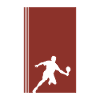 Pickleball Ballsport Ballsport