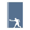 Pickleball Pickleball Game Pickleball Game
