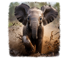 Elephant Realistic Elephant