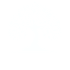 Yoga Arbre de Vie