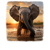 Elephant Realistic Elephant