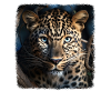 Leoparde realistic Leopard