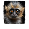 Gibbons realistic Gibbon