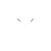 Citation humour petite chèvre