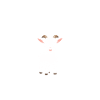 Citation humour petite chèvre