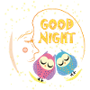 Good Night