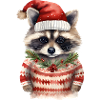 Waschbär Weihnachtspullover