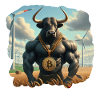 Bitcoin Bullrun