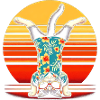 Cat Headstand Gymnastics Gymnastics Acrobatics