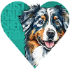 Australian Shepherd Portrait