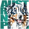 Australian Shepherd Portrait