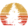 Sunset Pine Silhouette