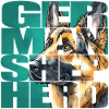 German Shepherd Portrait