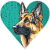 German Shepherd Portrait