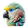 Perruche Bird Propriétaire d’oiseau Calopsitte