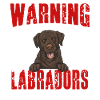 Chien Labrador Retriever chocolat