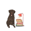 Chocolate Labrador Retriever Dog