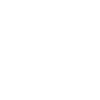 Sonnenblume weiß