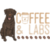 Chien Labrador Retriever chocolat