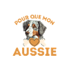 Aussie dog berger australien