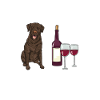 Chocolate Labrador Retriever Dog