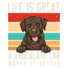 Chien Labrador Retriever chocolat