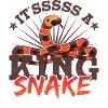 It'sssss a King Snake