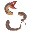 Serpents