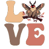 Cute Mothman Cryptozoology Cryptid
